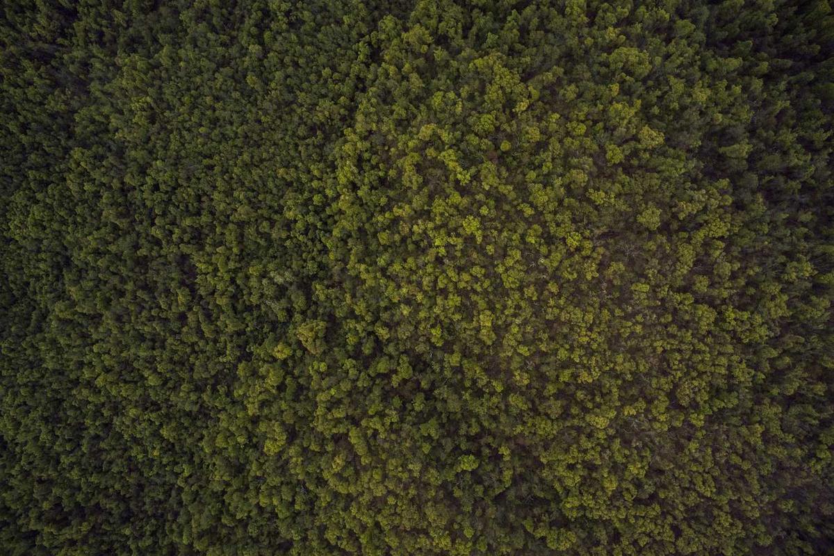 모든 것이 제자리로 돌아온 이 대통령의 광복절 경축사 관련 이미지 2